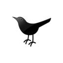 bird, twitter icon