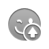 smiley,wink,wink up,up icon