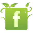 facebook icon
