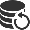 data,backup icon