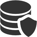 data,protection icon
