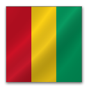 guinea icon