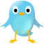 twitter,bird,animal,social network,social,sn icon