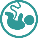 baby, fetus, pregnancy svg vector icon