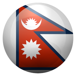 np icon
