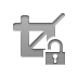 crop,lock,open icon