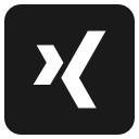 design, logo, media, social, xing svg vector icon
