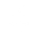 appbar,finder icon