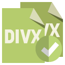 file,format,divx,checkmark icon