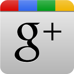 googleplus,grey icon