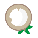 coco, cream, food, frozen, fruts, ice, icecream svg vector icon