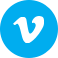 vimeo icon