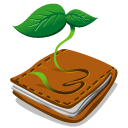 buding,itunes icon