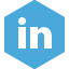 linkedin icon