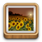 photo icon