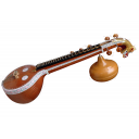veena1 icon