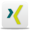 xing icon