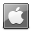 apple icon