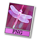 png icon