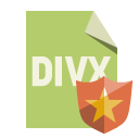 file,format,divx,shield icon