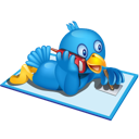 twitter icon