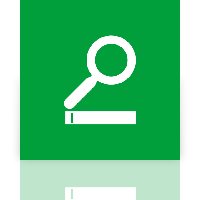 search,alt,mirror icon