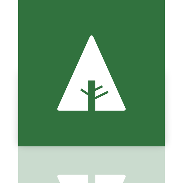 forrst,mirror icon