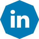linkedin, octagon icon