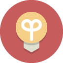 lightbulb icon