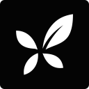 dxy svg vector icon