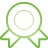 basic, green, medal icon