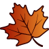 mapleleaf icon