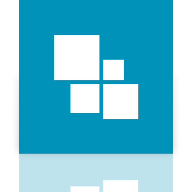 expose,mirror icon