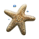 star icon