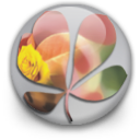 creativesuite,orb icon