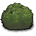 sorry,lashed,out,you,shouldn,have,pointed,that,coward icon