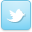twitter,alt icon