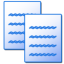 copy,duplicate icon