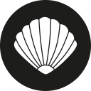 clam, clams svg vector icon