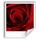 image,jpeg,pic,picture,photo,jpg icon