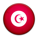 flag,tunisia,country icon