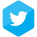 colored, hexagon, high quality, media, social, social media, twitter svg vector icon