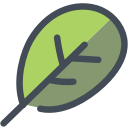 food, leaf, nature, salad, spinach, vegetable svg vector icon