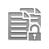 copy,lock,open icon