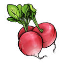 radish,fruit,vegetable icon