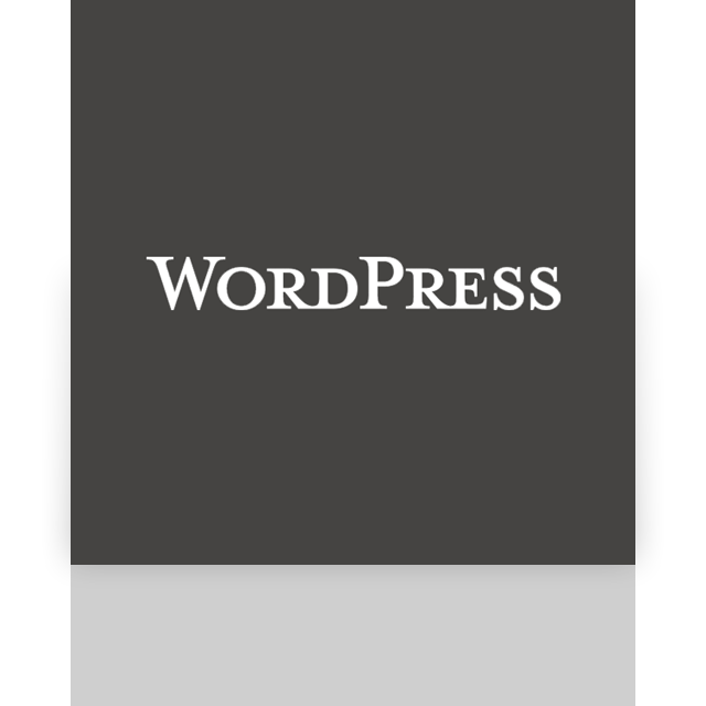 wordpress,mirror icon