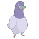 roger,animal,bird,twitter,social network,social,sn icon