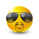 79_y icon