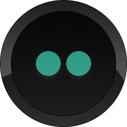 flickr icon