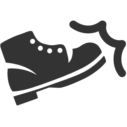 action icon